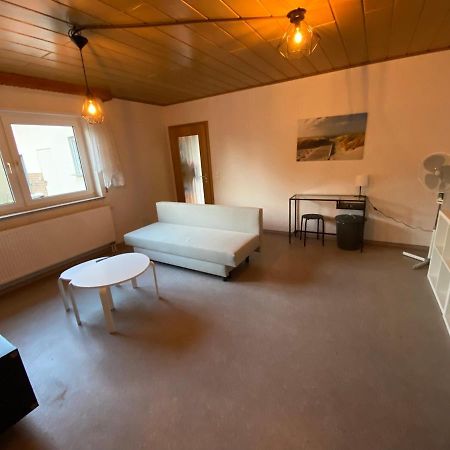 Ferienwohnung Suhad 루드빅스하펜 암 라인 외부 사진
